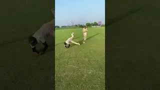 Dive , Roll & Throw #shorts #viral #cricket #youtube #youtubeshorts #trending