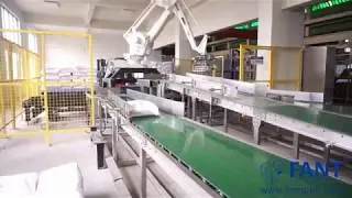 Salt Packaging Line&mdash;Sachets Packed into Woven Bag