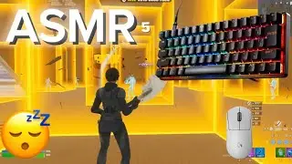 SteelSeries Apex Pro Mini ASMR 😴 Fortnite Box Fights 🏆 Satisfying Keyboard Fortnite 360 FPS 4K