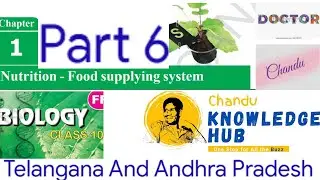 Class 10 the Biology / Nutrition part 6/ Telangana and AP/  explained Light and Dark reaction