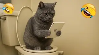 You Laugh You Lose 😁 Funniest Cats and Dogs 2026🐶😺 Part 11