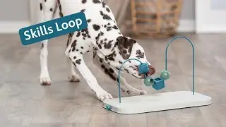 Dog toy Skills Loop - The strategy game with a twist - TRIXIE Heimtierbedarf