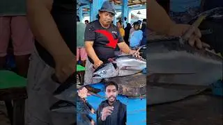 😰Why is the head of a tuna fish cut off first?&rdquo;#shorts
