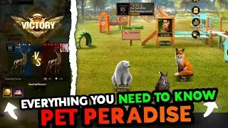 Pet Paradise 🔥 Everything You Need To Know 🔥 Tips & Tutorial ::: Last Shelter Survival #24EGaming