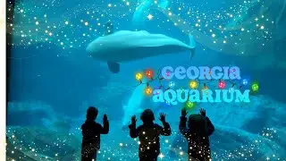 Holiday Magic UNLEASHED! The Triplets Explore Georgia Aquarium at Christmas!