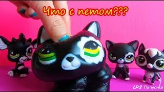 LPS коллекция  из 6 петов