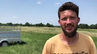 Eco p&acirc;turage gironde ecogasconha