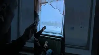 Окно в лес 😃‼️ вы меня понимаете #жиза #snow #зима #лесной #мысли #мысливслух