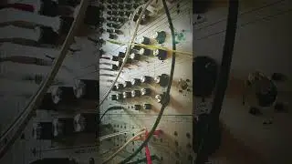 Analogue Solutions Colossus Slim Sequence with Spring Reverb #Shorts