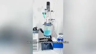 Small Reactor System | Glass Reactor + Chiller + Vacuum Pump