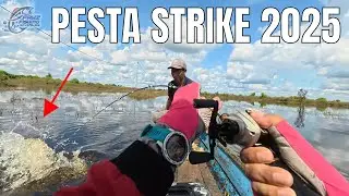 Spot Liar Ganas! Pesta Strike Ikan Predator di spot yg Jarang Terjamah Manusia