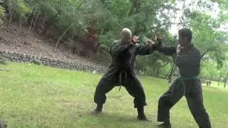 Ninjutsu Kyoto Japan 🇯🇵 SUMMER FREE Ninjutsu Class The fundamentals techniques of Togakure Ryu Ninpo