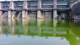 Rama dam fishing big size padane 3 hook fishing#dam #sorts##fishing