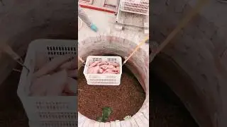 Wax potato underground storage process