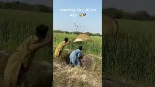 Hunting for Birds agg 😱🪺 #farming #legendary #hunting #trending #huntingbirds #automobile