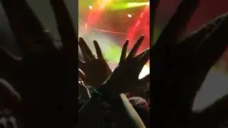 BRF 2019