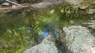 Last Trickle of Summer Miller Property, Boulder Creek