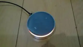 Amazon Echo Dot 1