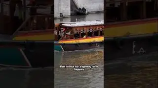 Unique Transportation Modes in the World❗Part: 2 #shorts #unique #country