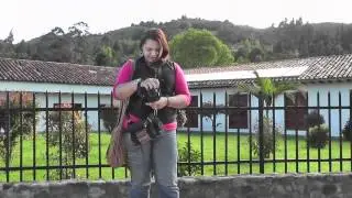 PERRO VILLALEYVANO ROKO