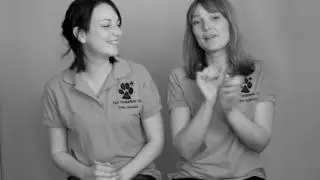 PAD productions taling about their accessible work. (With text)