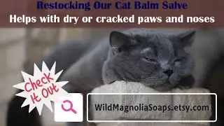 Making Cat Balm For Dry or Cracked Paws and Noses