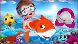 Baby Shark Song - Cartoons & Kids Songs - Coco Shark After School Club