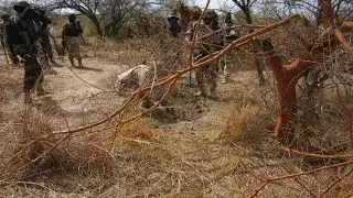 COMBATING INSECURITY: SAMBISA FOREST TO BECOME A TOURIST SITE