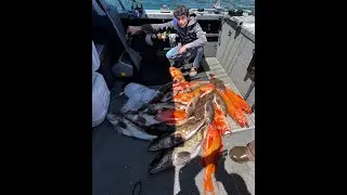 Deepwater Lingcod & Rockfish - West of Garibaldi Oregon