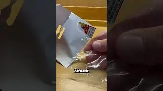 Du glaubst nie wie gro&szlig; diese Tausendf&uuml;&szlig;ler werden!