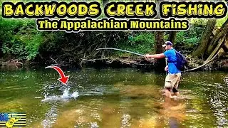 CATCHING BACKWOODS CREEK SMALLIES FISHING In APPALACHIA