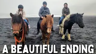 Iceland's Southernmost City, Vik! (black sand beach, black pizza)