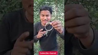 dog full Trend#vlog #minivlog