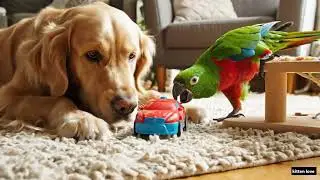 Cute Chaos at Home Parrot and Retriever 😆🏡🐾