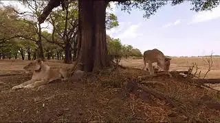Emisi&oacute;n en directo de Gerardo Higa