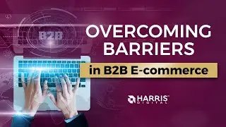 Overcoming Barriers in B2B E-commerce
