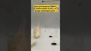 Kaliy permanganat (KMnO₄) Sulfat k-ta (H₂SO₄) va spirtga namlangan paxta. Ajoyib Kimyoviy Reaksiya