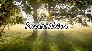 Gostek Music - Peaceful Nature