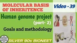 Human genome project( part-2) Goals and Methodology #Silver90sBioNeet