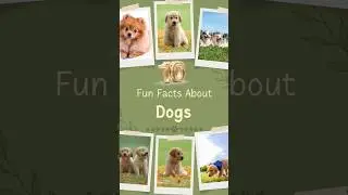 10 Fun Facts About Dogs #shorts