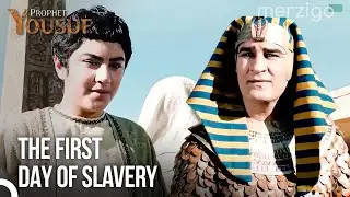 Potiphar Chose Joseph For Himself | Prophet Yousuf