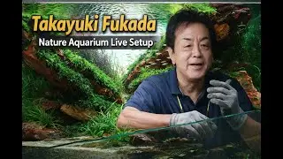 Live Setup hồ thuỷ sinh của Ngài Takayuki Fukada tại Việt Nam