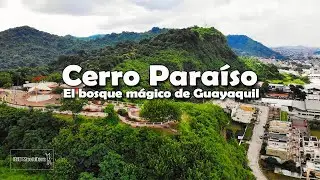 El bosque del Cerro Paraíso | Guayaquil