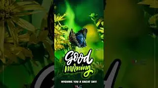 tree and good morning in India tree 🌲🌳🌴#shorts #viral #tree