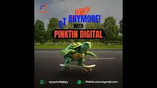 Slow? Not Anymore! Grow Fast with Pinktin Digital 🐢➡️⚡