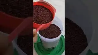 unboxing||bird feeder||mom's Diary