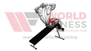 Incline Twisting Sit up Demo