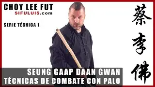 CHOY LEE FUT KUNG FU 👊 SEUNG GAAP DAAN GWAN 👊 Técnicas de Combate con Palo nº1