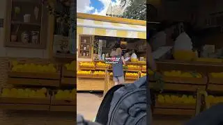 Um #dailylife + Airbnb + Compras + Ibira + Loja famosinha #dailyvlog #lifestyle #rotina #limonada