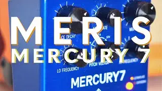 MERIS MERCURY 7
